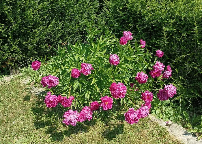 Σπίτι διακοπών La Rose De Προβέν